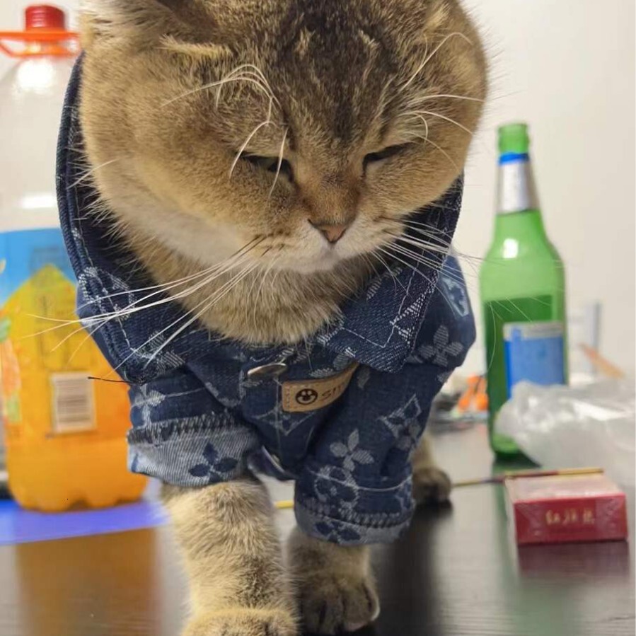 Pet for Large Dogs Golden Retriever Giant Poodle Samoyed Puppy Clothes Teddy Bichon Pomeranian Autumn Winter Thick Trendy Brand Denim