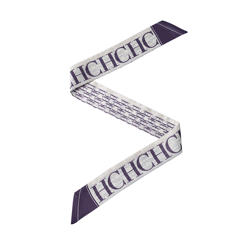 Fashion Luxury Women's Scarf Luggage Accessories Bundle Strap Scarves Suitable for Luggage Wrist