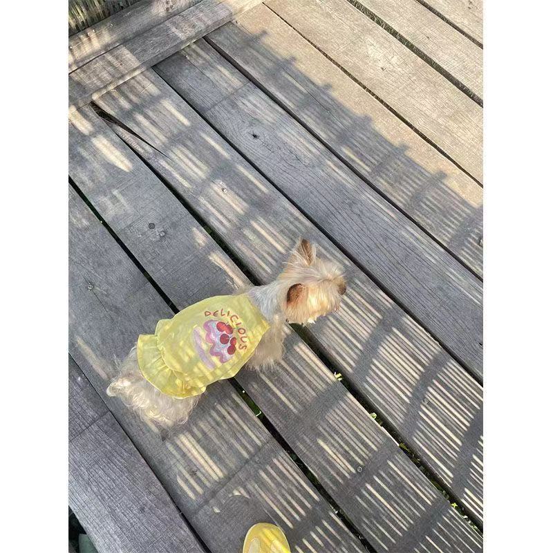 T1052 Pet clothes spring and summer models for dogs and cats, small dogs, printed suspenders, pumpkin skirts, Yorkshire terriers and Maltese clothes