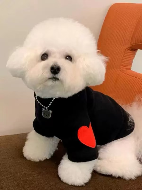 T1058 Pet clothes for dogs cats Maltese princess hollow skirt spring summer style breathable anti-hair loss small and medium-sized pets