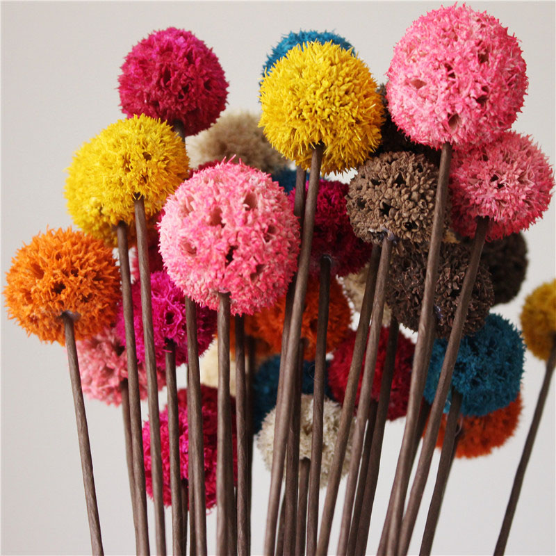 Dried Maple Fruit Flower Head with Iron Stem Flower Bouquets Real Natural Floral Materials Handmade DIY Materials Home Wedding Office Living Room Decor
