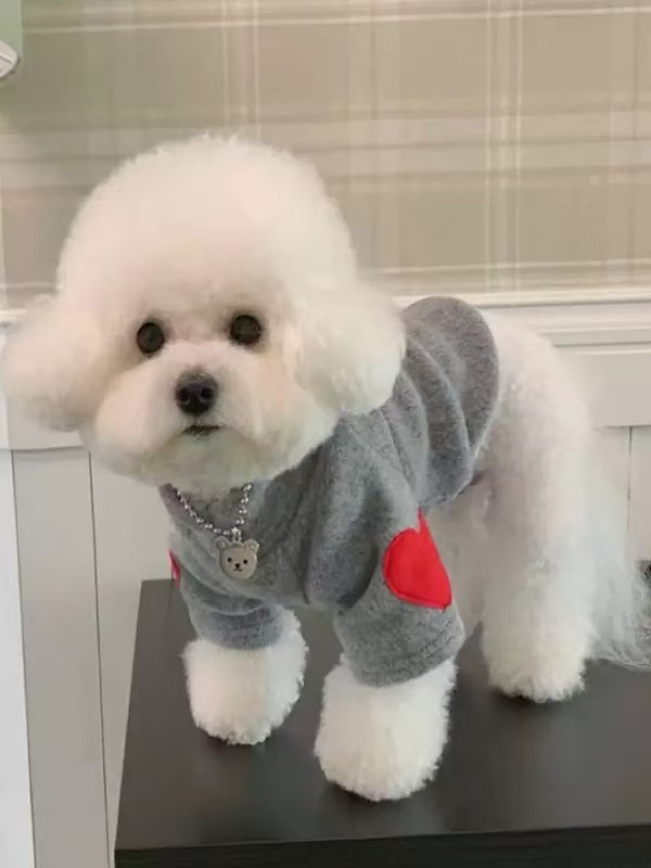 T1058 Pet clothes for dogs cats Maltese princess hollow skirt spring summer style breathable anti-hair loss small and medium-sized pets