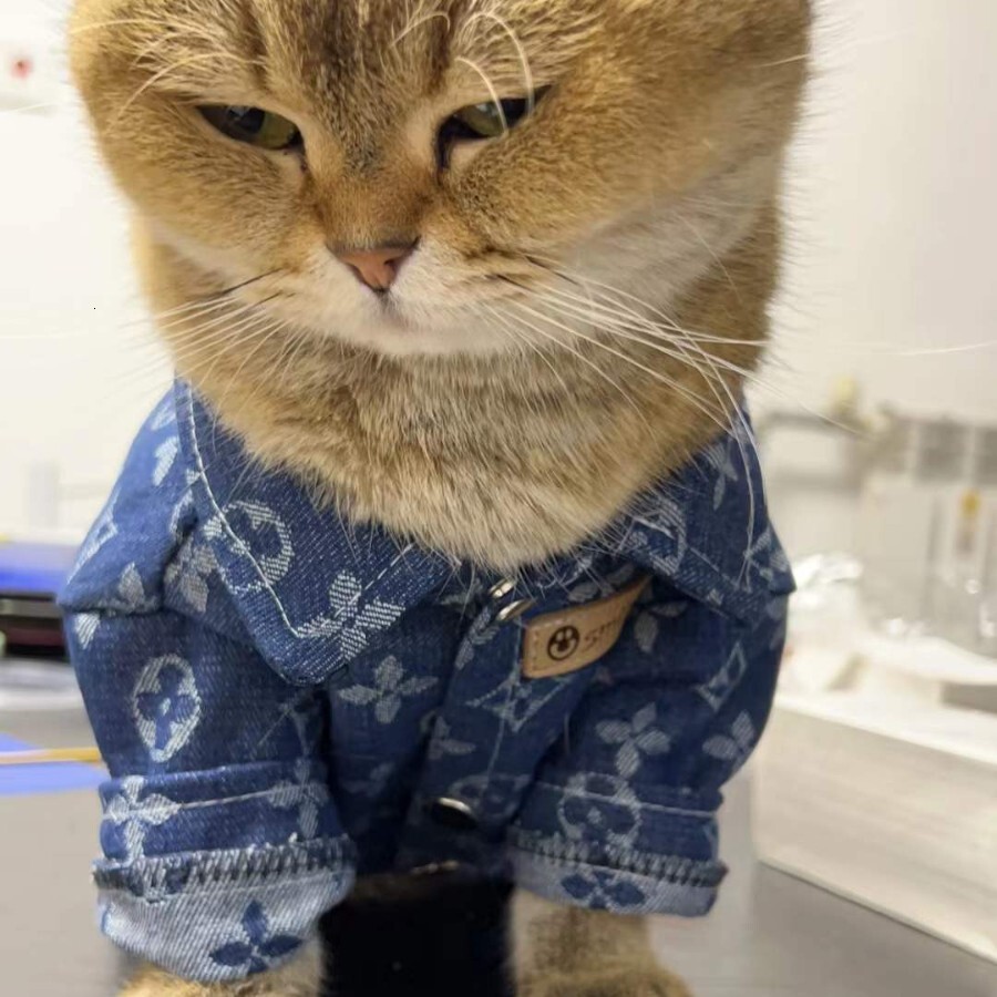 Pet for Large Dogs Golden Retriever Giant Poodle Samoyed Puppy Clothes Teddy Bichon Pomeranian Autumn Winter Thick Trendy Brand Denim