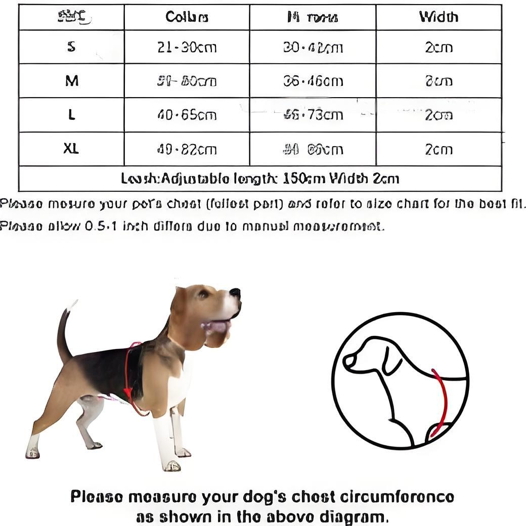 Designer Collars and Leash Set Step In Dog Harness for Small Medium Large Dogs Adjustable Heavy Duty Halter Harnesses with Classic Jacquard Letter Pat