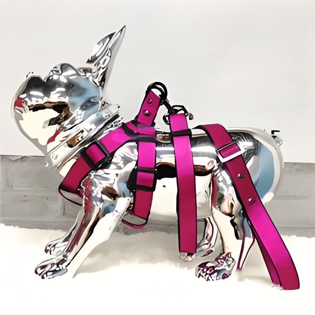 Chic Canine Collection: Versatile Designer Pet Gear Including Adjustable Harnesses & Tails Matching Colors Available