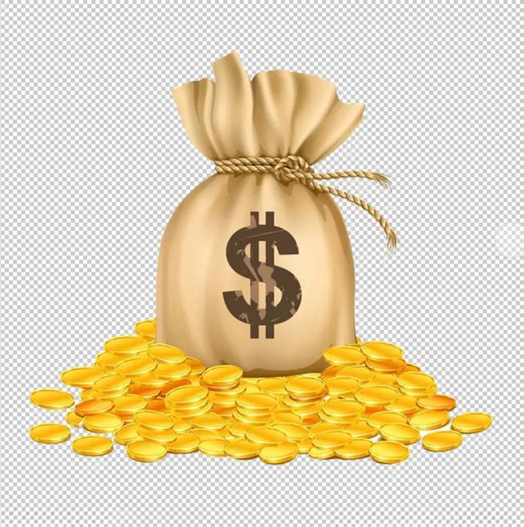 VIP 003 Shipping Payment Link Women's Designer Bags handbags Postage Fee