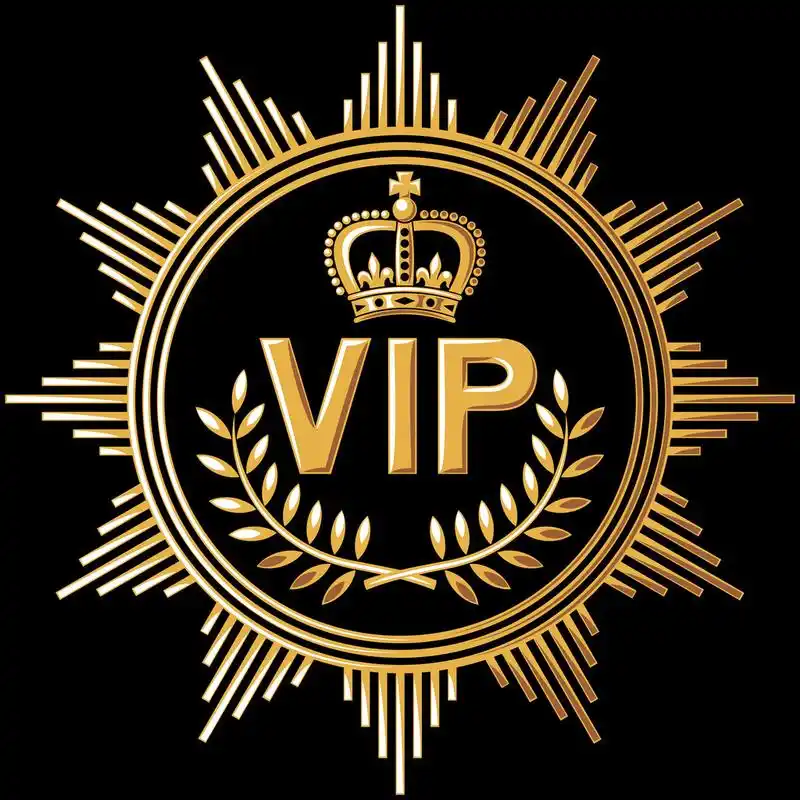ZZ-YYN VIP Exclusive Payment Portal Orders, Balance Top-Up & Express Shipping