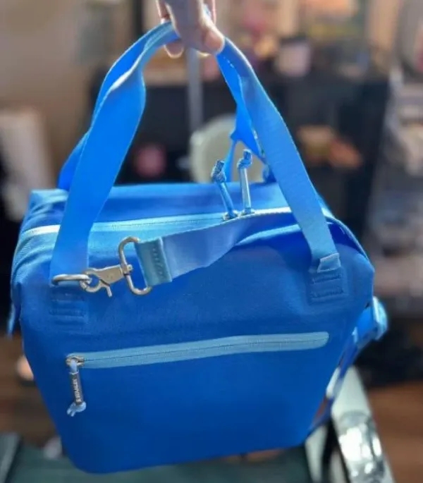LoveShackFancy Ibiza Sunset DHL All Day Julienne Mini Soft Lunch Bag Box 10-Can Recycled Polyester 12-HourTravel Cooler Bags