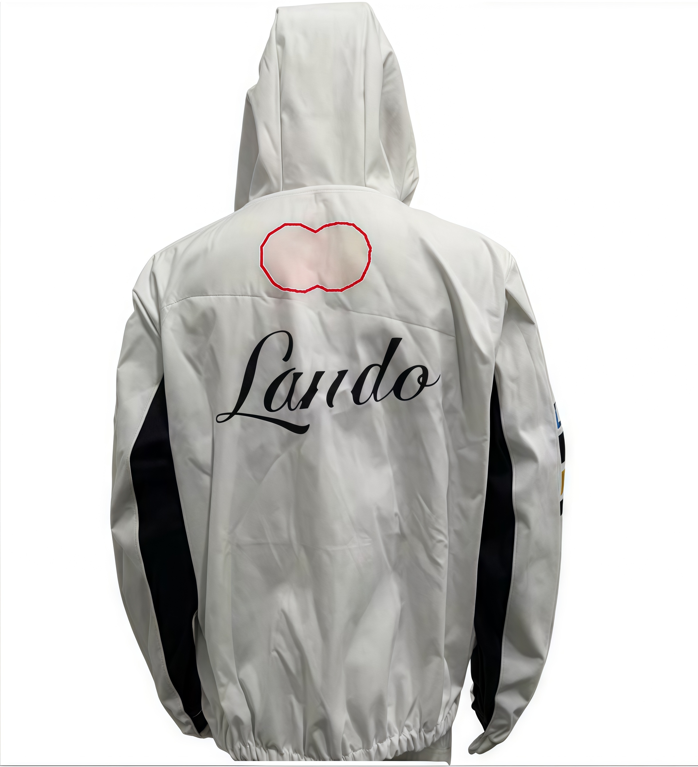 F120251 Team Hoodie F1 Fashion Jacket Customisation Matching Style