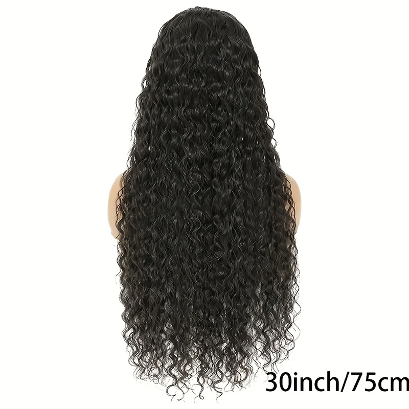 Eulisi 13x6 HD Transparent Lace Front Wigs for Human Hair Pre Plucked Water Wave Natural Black Curly Lace Front Wig With Free Part Natural Black Color