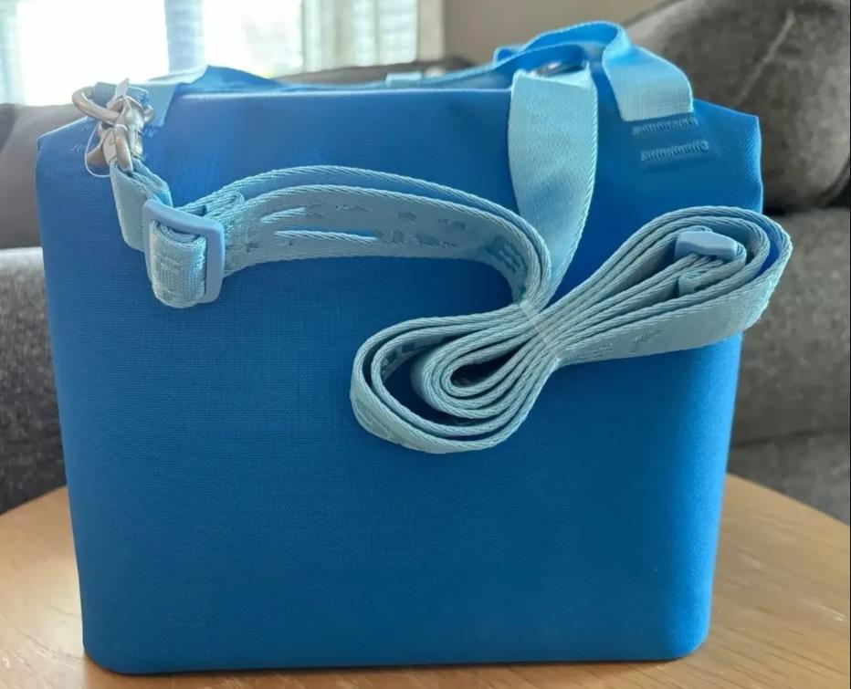 Mini Soft Cooler Lunch Bag Backpack - Recycled Polyester Travel Cooler with Shoulder Straps