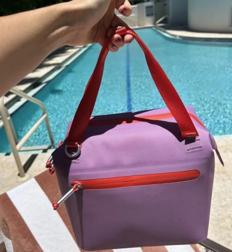 Designer Lunch Bags All Day Julienne Mini Cooler Soft Lunch Bag Box 10-Can Recycled Polyester 12-Hour Cool Travel Picnics Outdoor Crossbody Bags