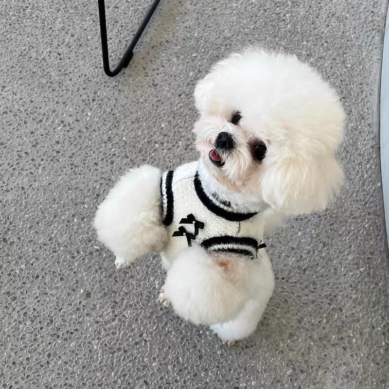 Luxury Dog Sweater Cute Small Dog Sweater with Bowtie Puppy Dogs Clothes for Small Medium Dogs Cats Girl Warm Fall Winter Pet Pullover for Yorkshire C