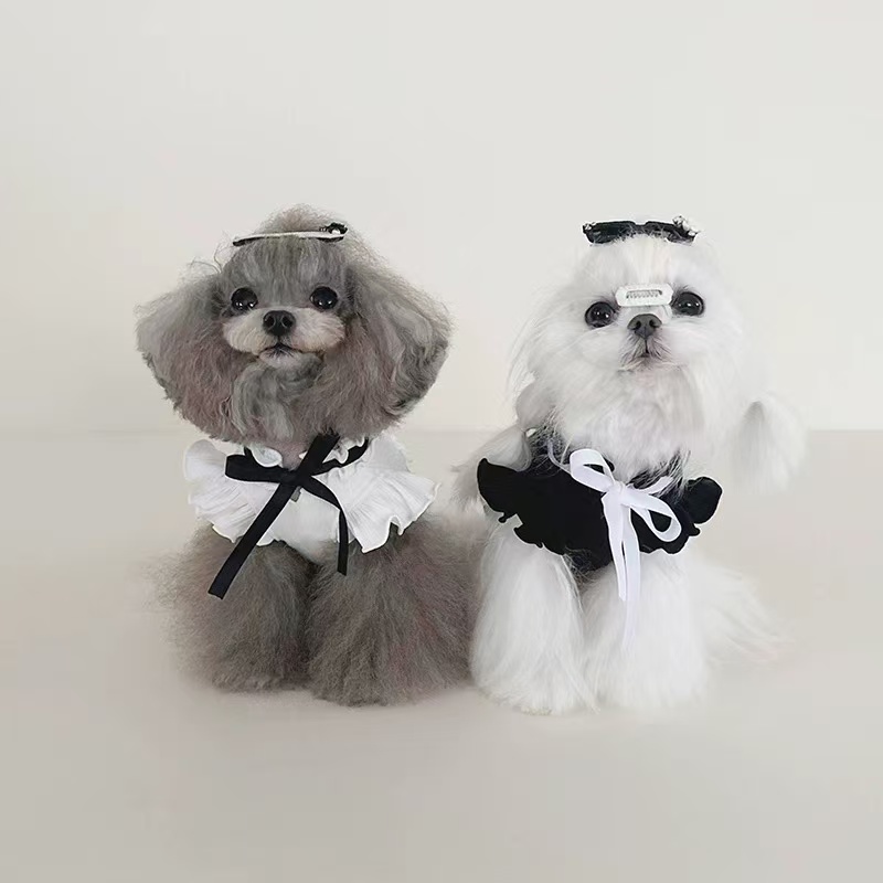 T1063 Lace-up versatile flying sleeve bottoming shirt pet clothes spring and autumn style Teddy Bichon Maltese small dog autumn and winter
