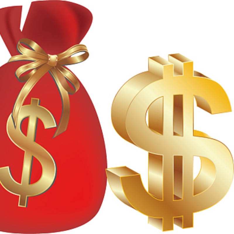 Payment Link for shipping fees women bags Postage DHL EMS China post Air Lady bag Cross body bag messenger purse VIP001