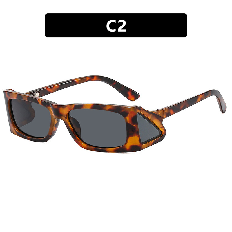 Runway Inspired Small Frame Sunglasses Trendy Hip Hop Fashion Shades for Women