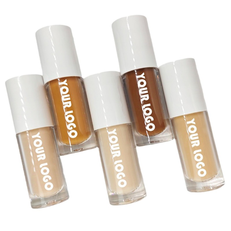 OEM Logo custom 21 hot Colors Liquid Concealer Waterproof Oil Control Private Label Conceale