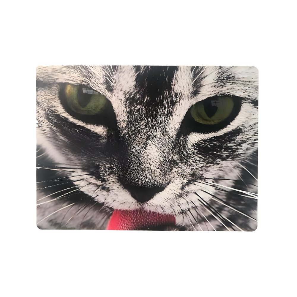 Versatile Self-Adhesive Custom Labels Ideal for Various Uses