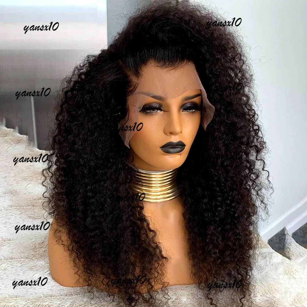 200density Black Curly Human Hair Wigs for Women Water Wave Glueless 13X4 Frontal Pre-Cut HD Lace Wig Pre-Plucked