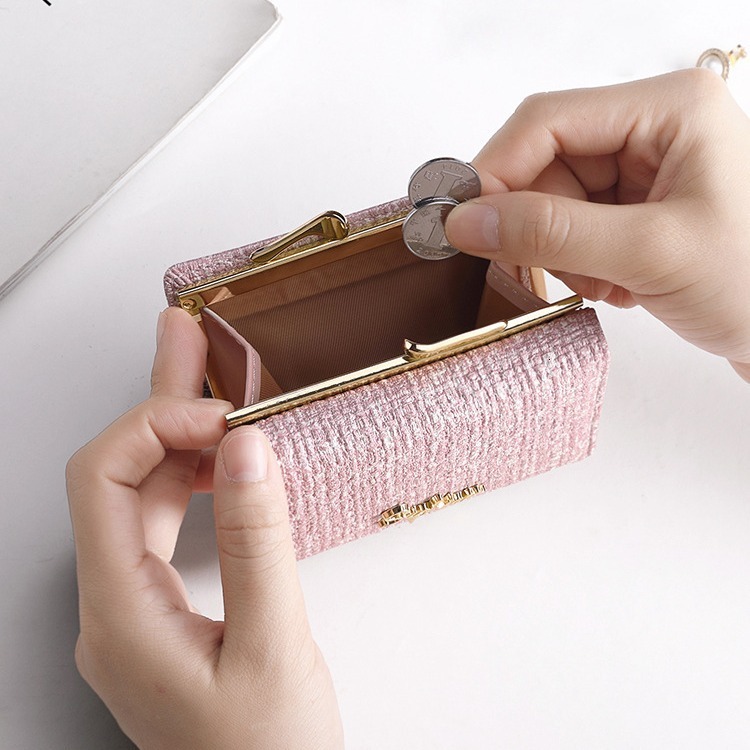 2025 Autumn mini New Light Luxury Style, Atmospheric and niche Design, Simple and Elegant Women's Wallet, Student Coin Wallet, Designer Zero Wall