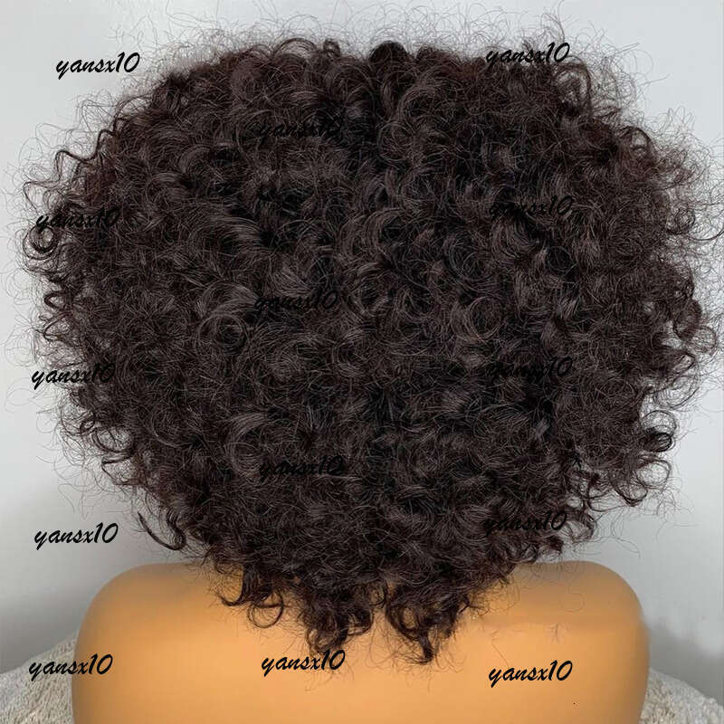 Mogolian Human Hair Wigs for Women 360 Full Lace Afro Kinky Natural Black Short Pixie Curly Synthetic Wig
