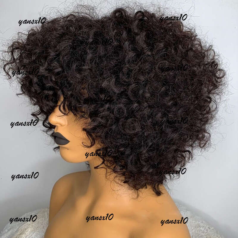 Mogolian Human Hair Wigs for Women 360 Full Lace Afro Kinky Natural Black Short Pixie Curly Synthetic Wig