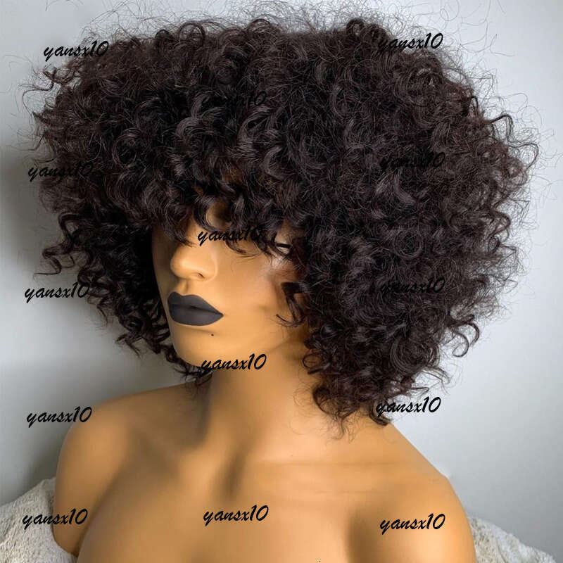 Mogolian Human Hair Wigs for Women 360 Full Lace Afro Kinky Natural Black Short Pixie Curly Synthetic Wig