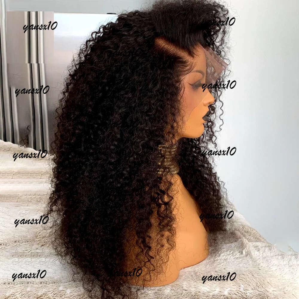 200density Black Curly Human Hair Wigs for Women Water Wave Glueless 13X4 Frontal Pre-Cut HD Lace Wig Pre-Plucked