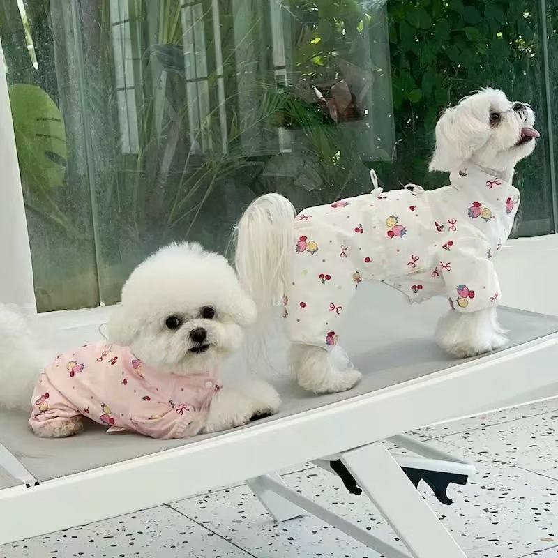 T1128 Raglan sleeve sweatshirt dog clothes autumn and winter clothes Teddy Bichon Schnauzer small dog puppy cat pet spring and autumn style