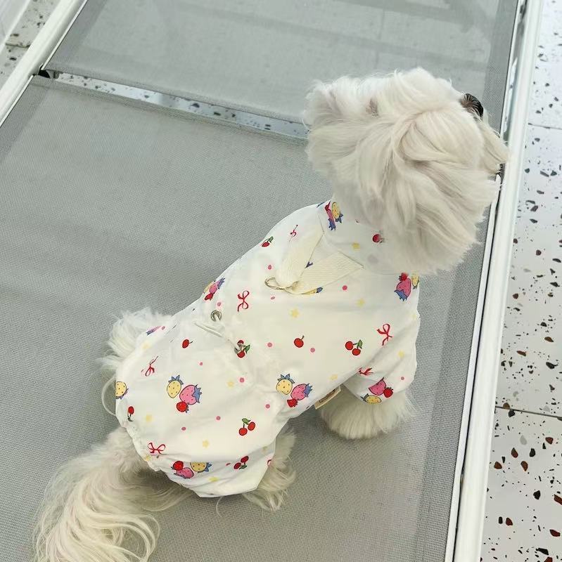 T1128 Raglan sleeve sweatshirt dog clothes autumn and winter clothes Teddy Bichon Schnauzer small dog puppy cat pet spring and autumn style