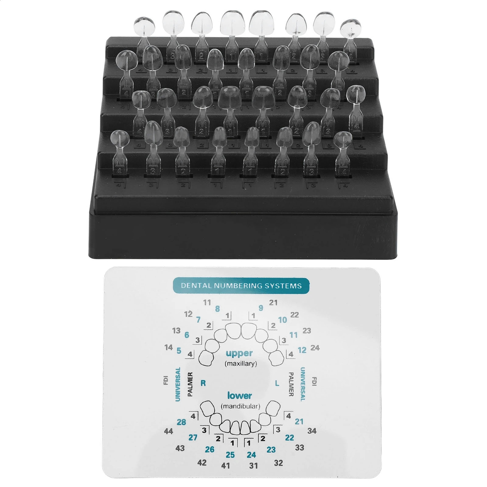 32Pcs/Set Dental Veneer Mould Kit Composite Resin Mold Light Cure Autoclave Anterior Front Teeth Mould Teeth Whitening Tools 250228