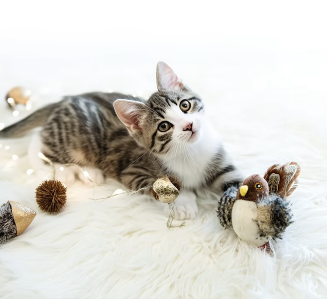 Interactive Cat Toys Electric Squeaky Simulation Bird Plush Cats Pets Teasing Toys with Feather Catnip Kitten Chirping Bird Doll