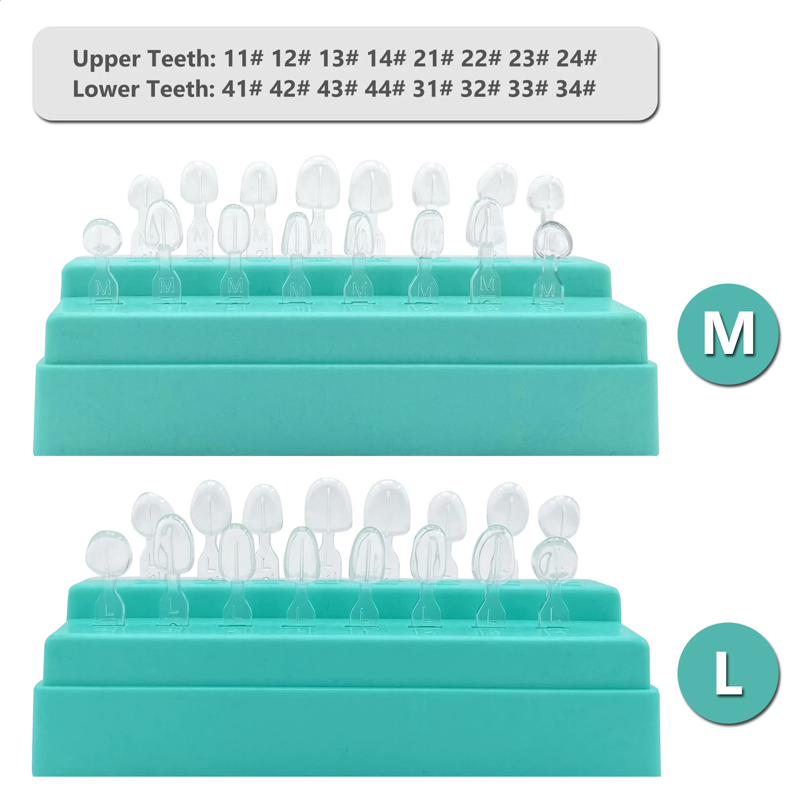 32Pcs Dental Veneer Mould Kit Composite Resin Mold Light Cure Autoclave Anterior Front Teeth Mould Teeth Whitening Tools 250228