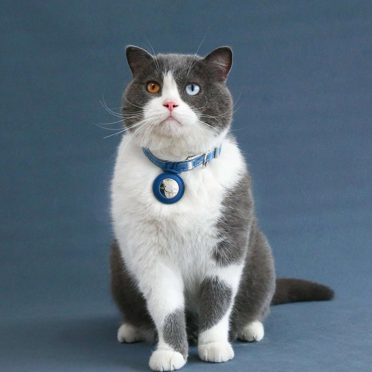 Update Leash Loss Prevention Quick Release Durable Pet Collar Airtag Tracker Adjustable Harness For Cats