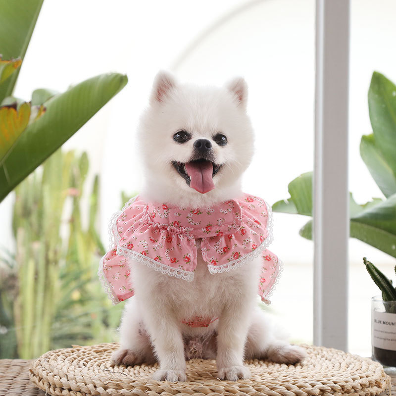 Small Floral Dog Dress Harness Leash Set for Girl Dog Dresses, Cute Puppy Princess Clothes, Pet Doggy Outfits Spring Summer Breathable Dresses Pink S 