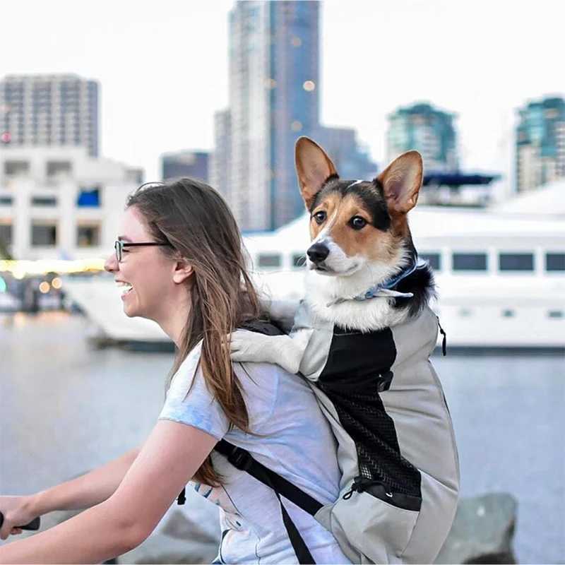 Strong Nylon Dog Carrier Backpack for Small Medium Dogs High Quality Breathable Cycling Backpack for Outdoor Travel Pet Supplies 250205
