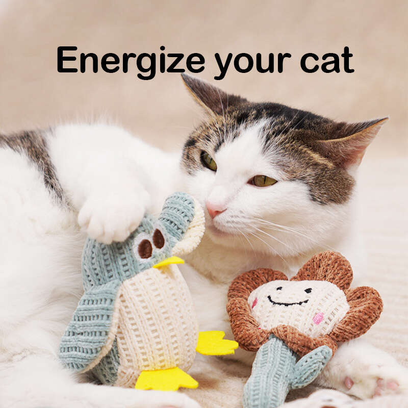 DHpet Assorted Catnip - Infused Plush Cat Toys - Penguin, Cat, Cactus & More, Soft & Bite - Resistant