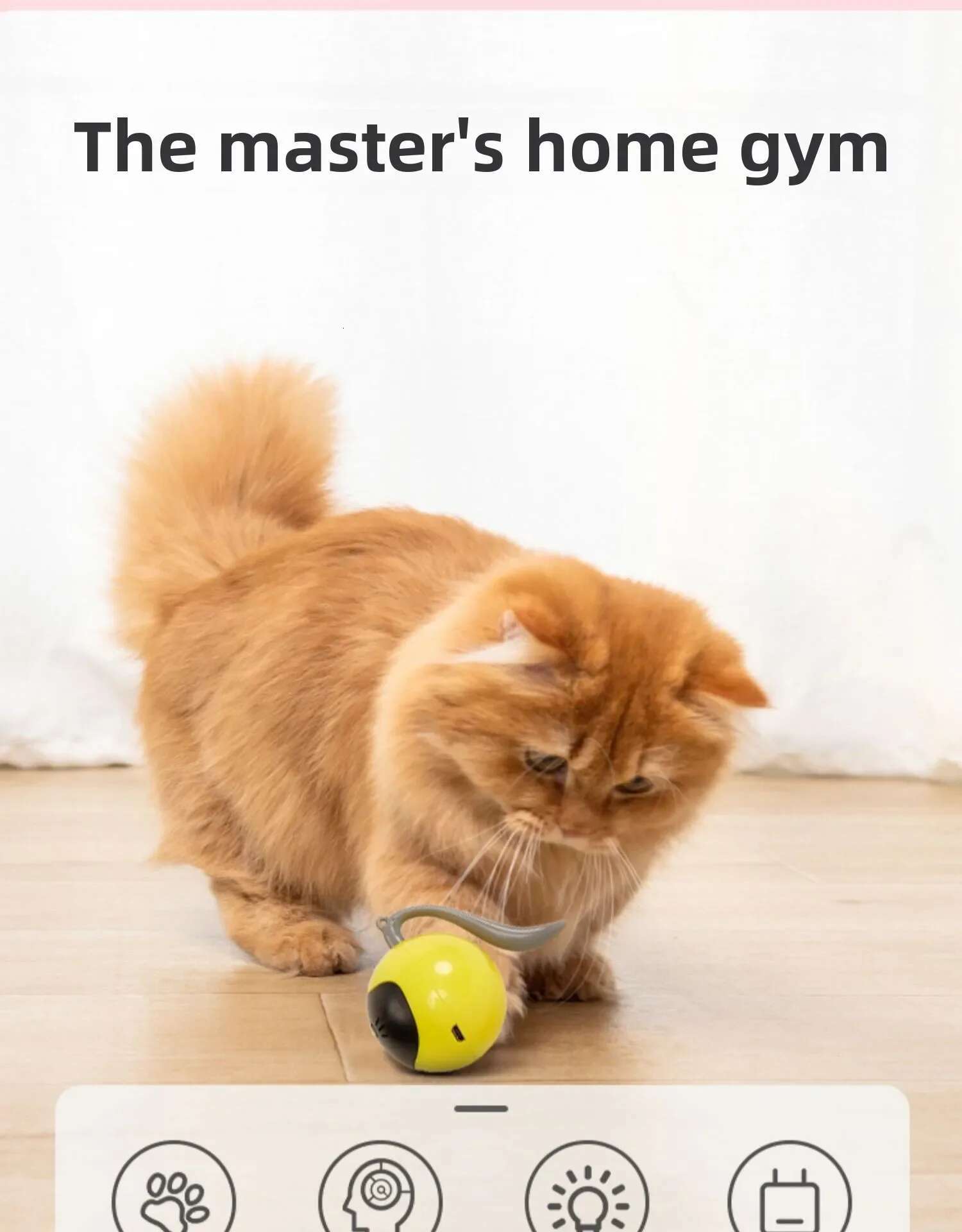 Update Electric Cat Rechargeable Pet Magic Ball Automatic Intelligent Teaser Wand Self High Boredom Kitten Toys
