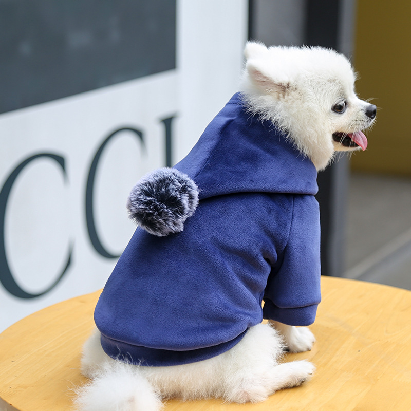 Classic Trendy Dog Hoodie Flannel Warm Soft Dog Clothes with Hair Ball and Fashion Logo, Dog Cold Weather Clothes, Dog Winter Coats for Small Medium D