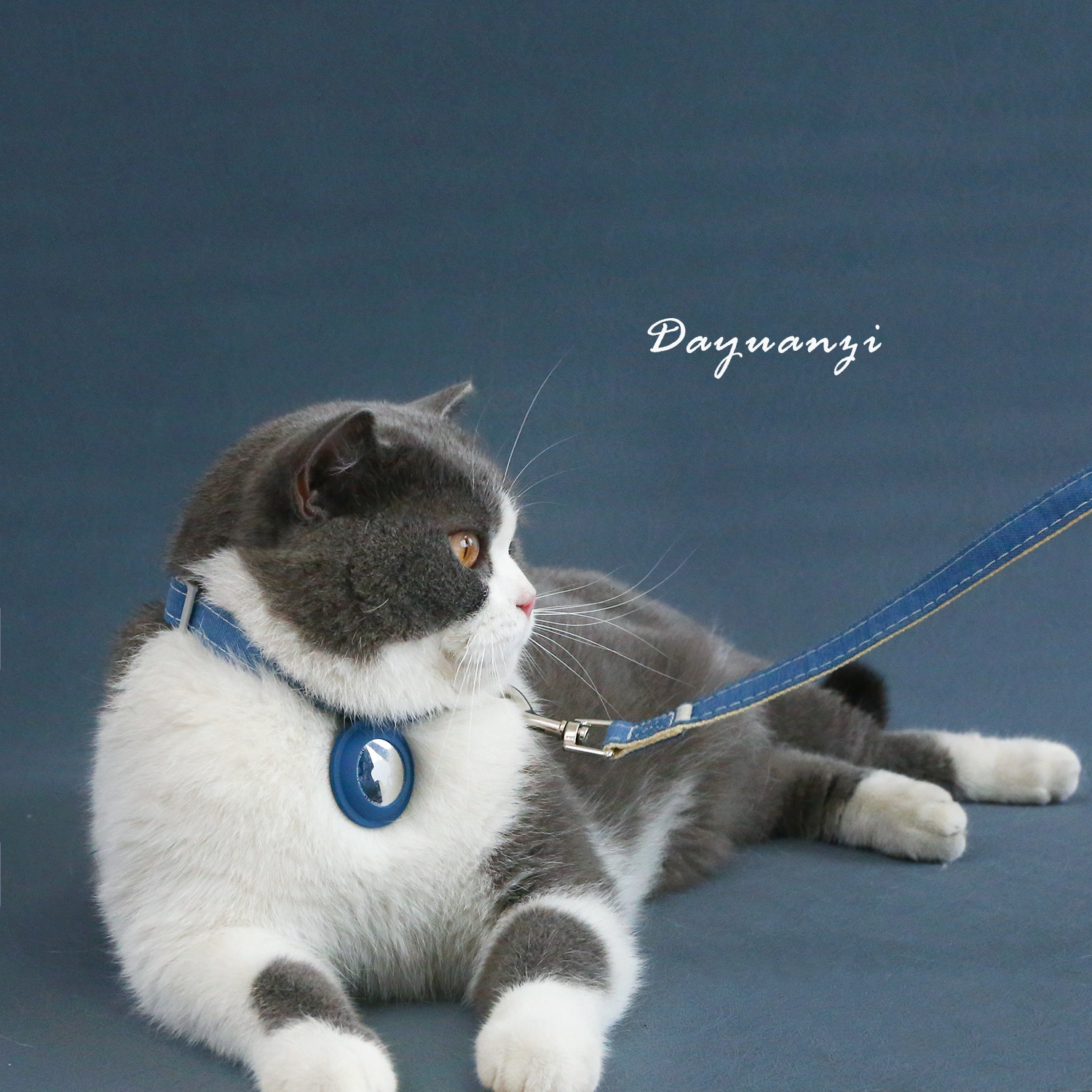 Update Leash Loss Prevention Quick Release Durable Pet Collar Airtag Tracker Adjustable Harness For Cats