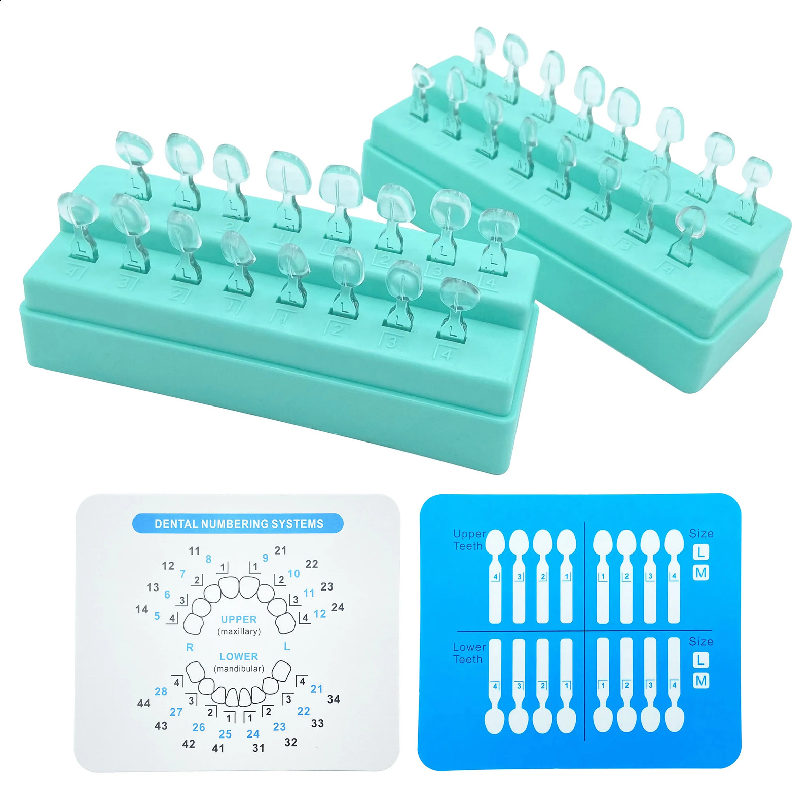 32Pcs Dental Veneer Mould Kit Composite Resin Mold Light Cure Autoclave Anterior Front Teeth Mould Teeth Whitening Tools 250228