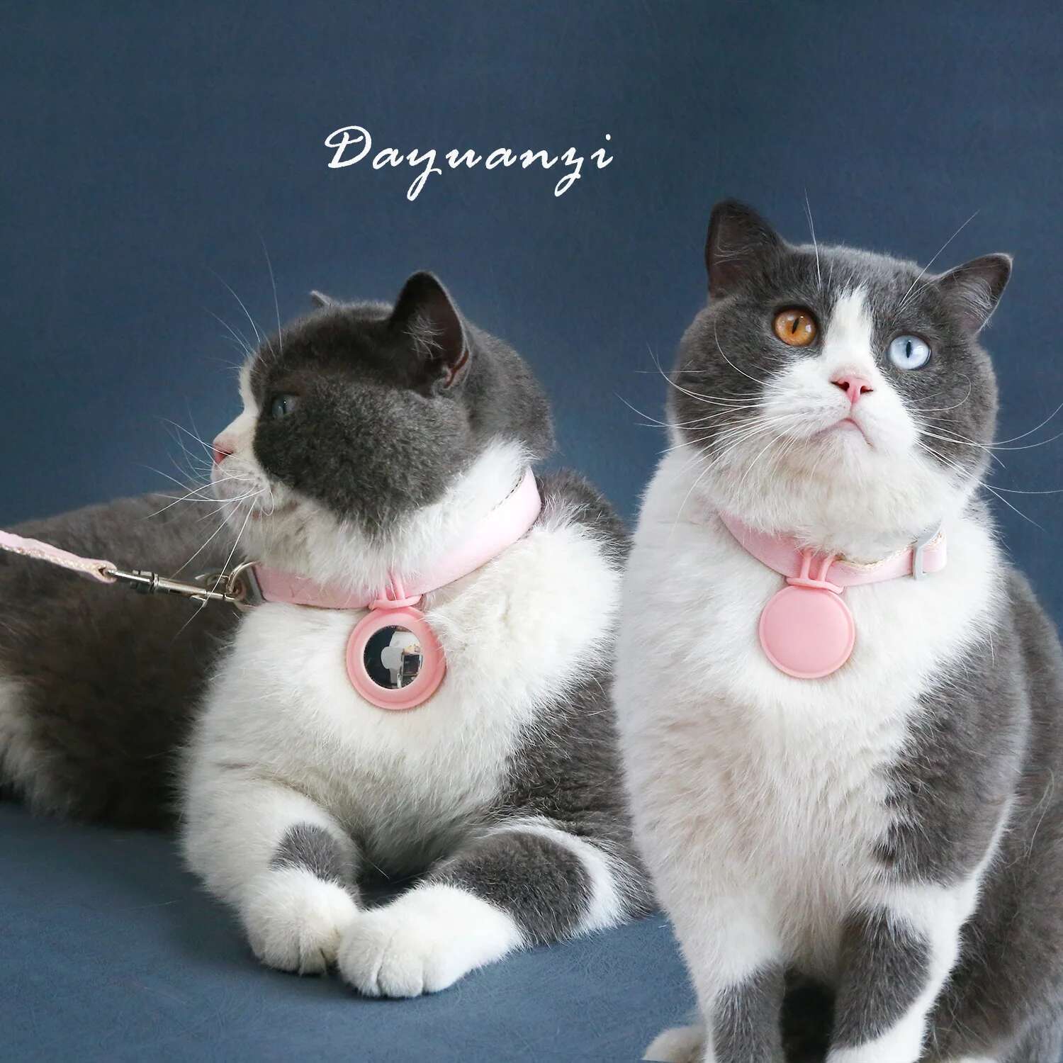 Update Leash Loss Prevention Quick Release Durable Pet Collar Airtag Tracker Adjustable Harness For Cats