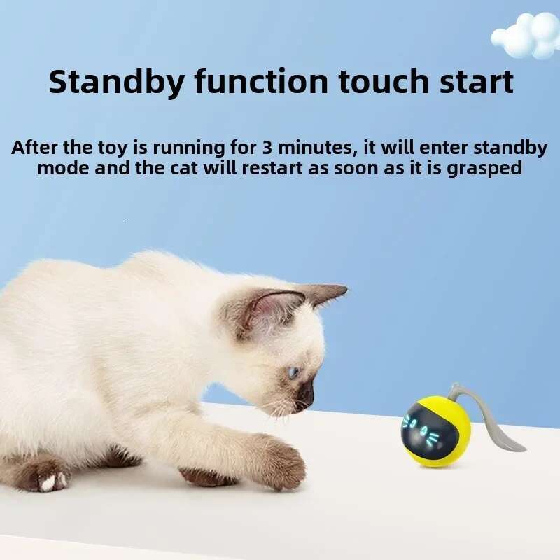 Update Electric Cat Rechargeable Pet Magic Ball Automatic Intelligent Teaser Wand Self High Boredom Kitten Toys