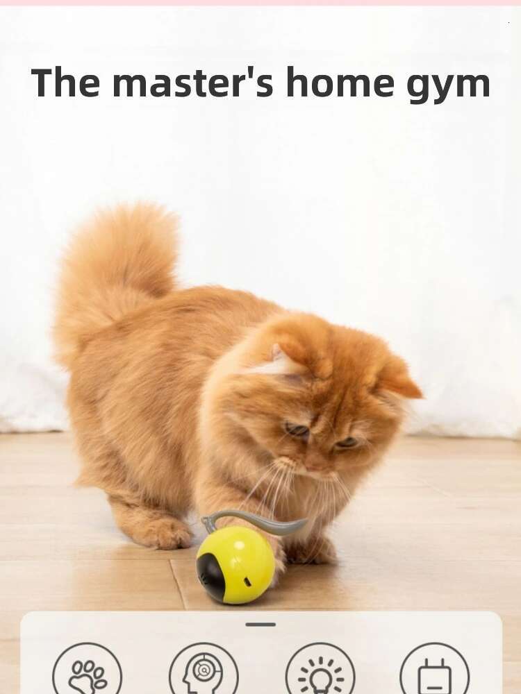 Update Electric Cat Rechargeable Pet Magic Ball Automatic Intelligent Teaser Wand Self High Boredom Kitten Toys
