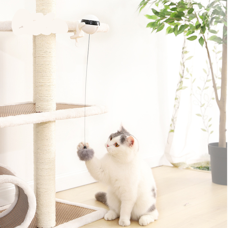 Movable lifting ball electric cat teasing educational toys cat fun self-hi interactive pet products popular wholesale