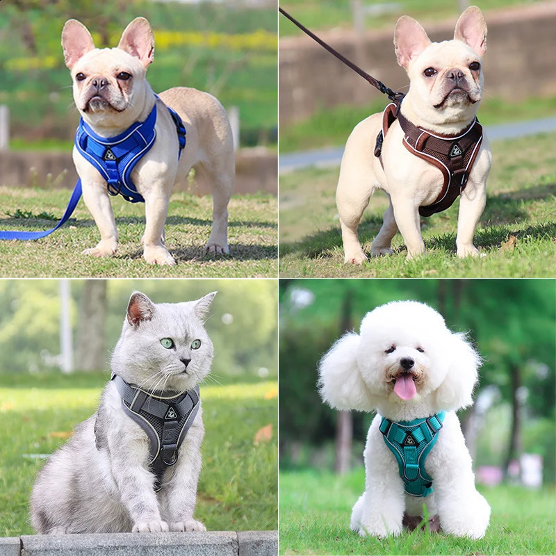Dog Harness Leash Set Adjustable Pet Chest Strap For Small Medium Dogs Cats Reflective Puppy Harness Vest French-Bulldog York 250224