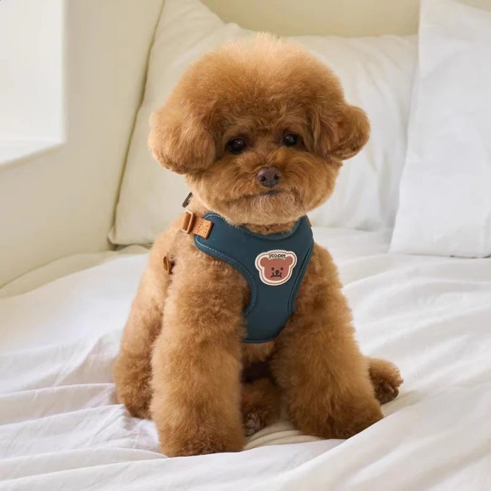 Cute Bear Pet Harness Leash Set Dog Vest Harness Strap Adjustable Breathable Harness for Puppy Cat Dog Supplies 250224