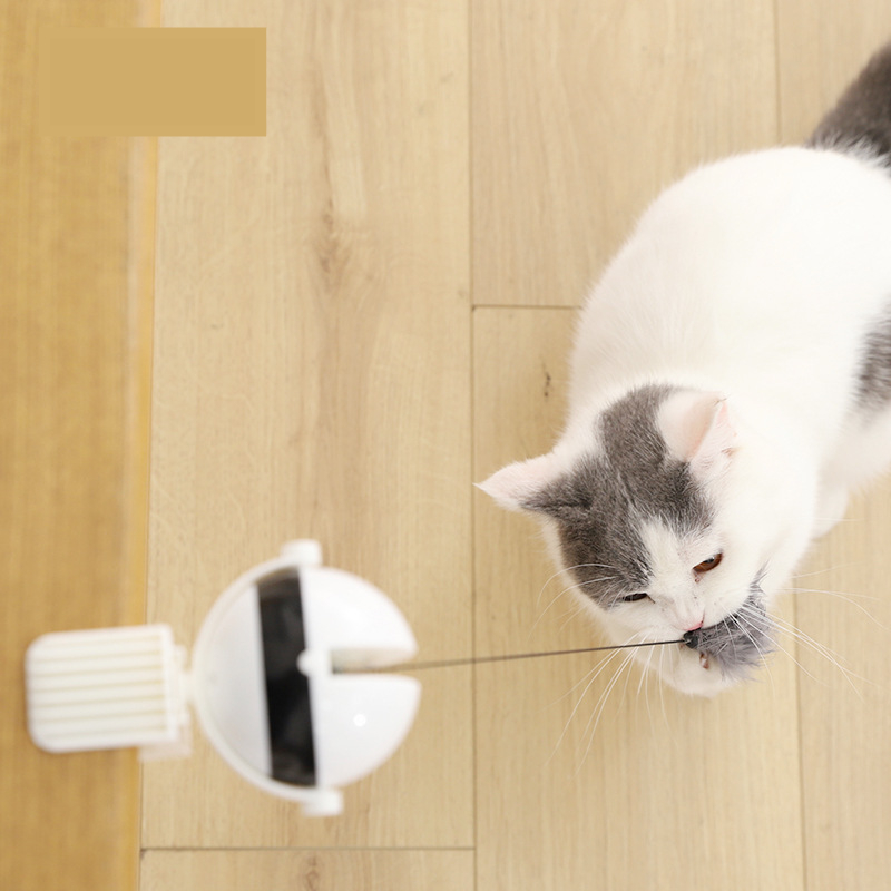 Movable lifting ball electric cat teasing educational toys cat fun self-hi interactive pet products popular wholesale