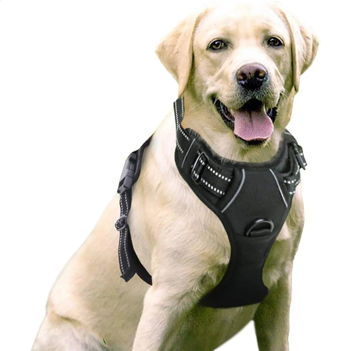 Pet Dog Harness Reflective Adjustable Breathable Dog Vest Harness for Small Medium Large Dogs Cat Dog Collar Dog Accessoires 250224