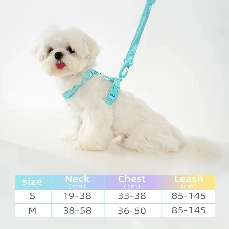 dog harness dog collar dog leash Macarone color cat accessories pet small dog accessories small dog harnessdog supplies 250224